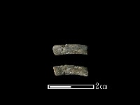 陶環藏品圖，第1張