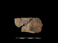 陶罐藏品圖，第2張