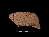 陶罐藏品圖，第1張