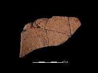 陶罐藏品圖，第2張