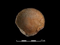 陶片藏品圖，第3張