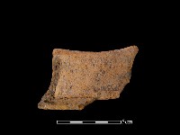 陶片藏品圖，第2張