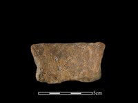 陶罐藏品圖，第2張