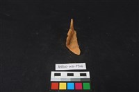 陶片藏品圖，第3張