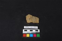 陶片藏品圖，第1張