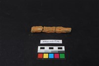 陶片藏品圖，第2張