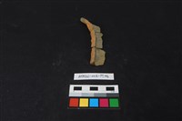 陶片藏品圖，第3張