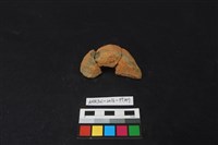 陶片藏品圖，第2張