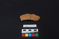 陶片藏品圖，第2張