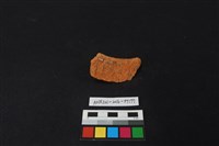 陶片藏品圖，第2張