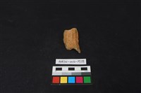 陶片藏品圖，第3張