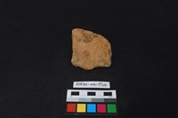 陶片藏品圖，第1張