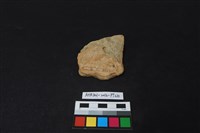 陶片藏品圖，第2張