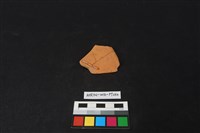 陶片藏品圖，第2張