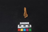 陶片藏品圖，第3張