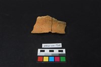 陶片藏品圖，第1張