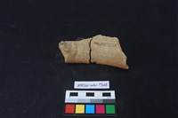 陶片藏品圖，第2張