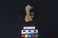 陶片藏品圖，第3張