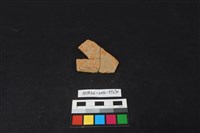 陶片藏品圖，第2張