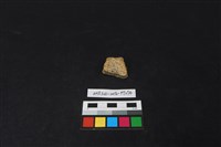 陶片藏品圖，第2張