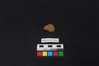 陶片藏品圖，第1張