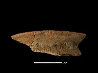 陶罐藏品圖，第2張