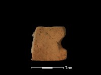 陶片藏品圖，第2張