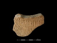 陶罐藏品圖，第1張