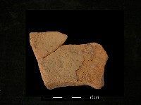 連杯形器藏品圖，第2張