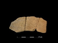 連杯形器藏品圖，第2張