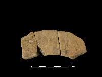 連杯形器藏品圖，第1張