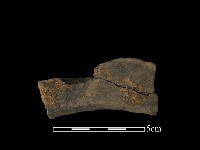 豆形器藏品圖，第2張