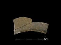 豆形器藏品圖，第1張