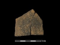 陶片藏品圖，第1張