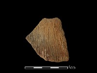 陶片藏品圖，第1張