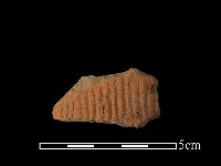 陶片藏品圖，第1張