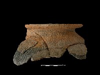 陶罐藏品圖，第2張