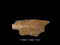 陶罐藏品圖，第2張