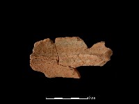 陶罐藏品圖，第2張