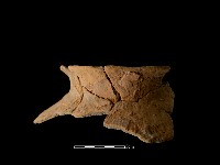 陶罐藏品圖，第2張