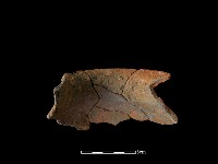 陶罐藏品圖，第3張