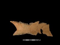 陶罐藏品圖，第2張