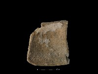 陶片藏品圖，第2張