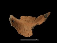 陶片藏品圖，第1張