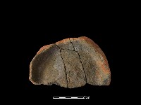 陶片藏品圖，第1張