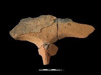 連杯形器藏品圖，第1張