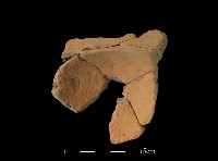 連杯形器藏品圖，第2張