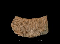 陶片藏品圖，第1張