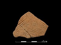 陶片藏品圖，第1張