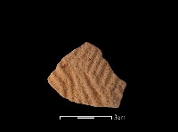 陶片藏品圖，第1張